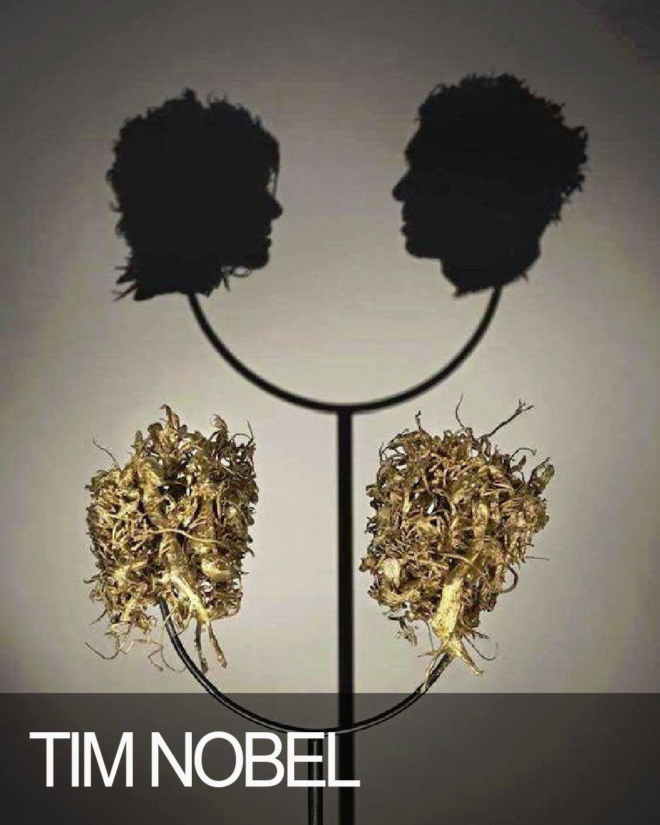 Tim Nobel